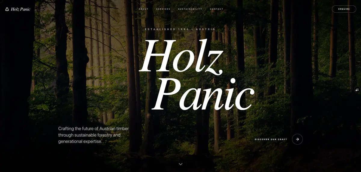 Holz Panic project preview