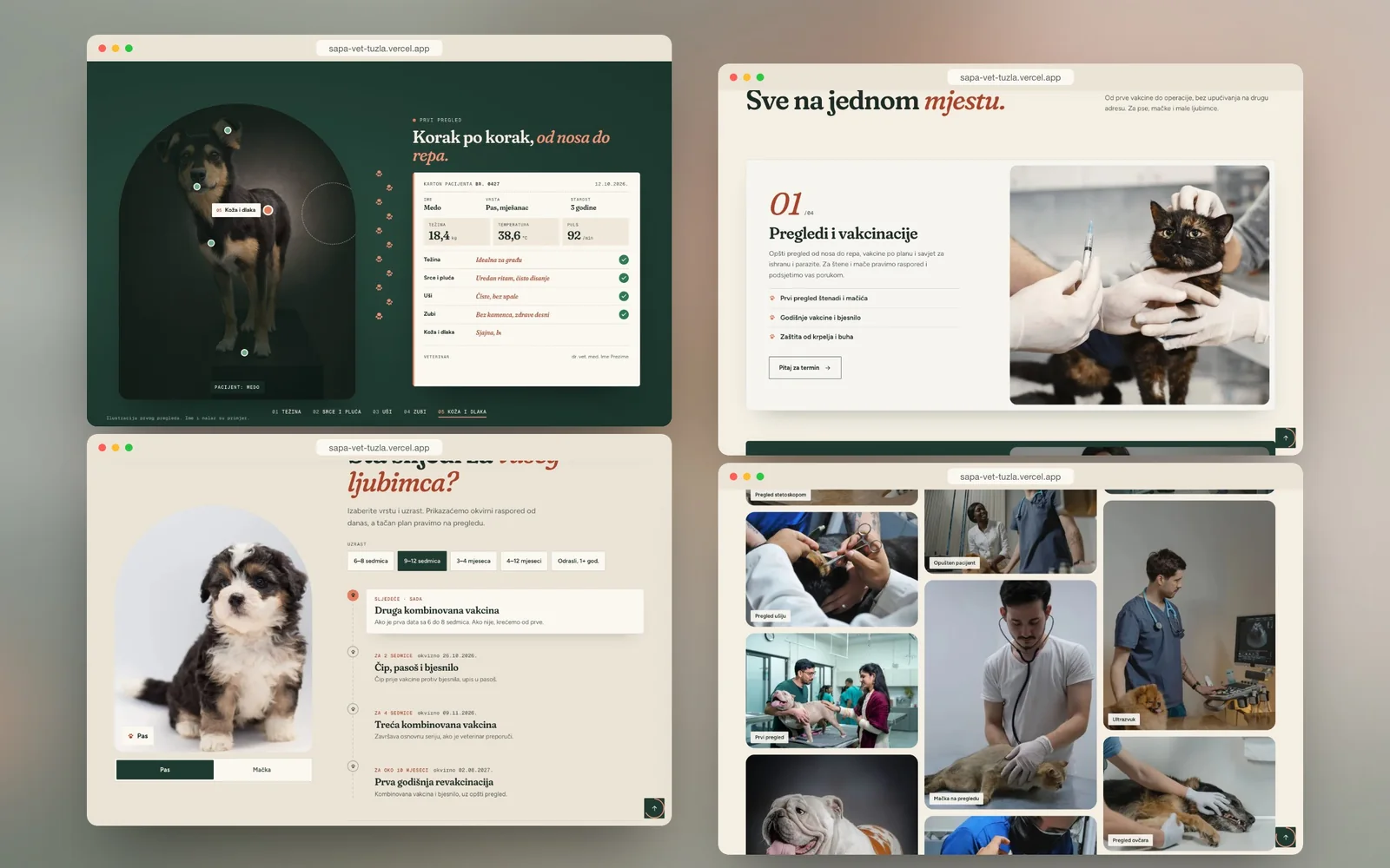 Šapa Veterinary Clinic — design detail 1